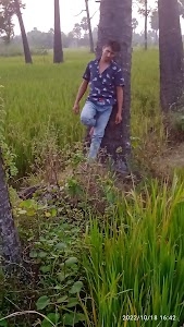 Braham Baba Mandir