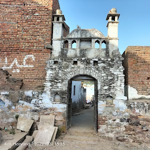 Kot