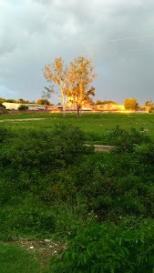 Azizganj