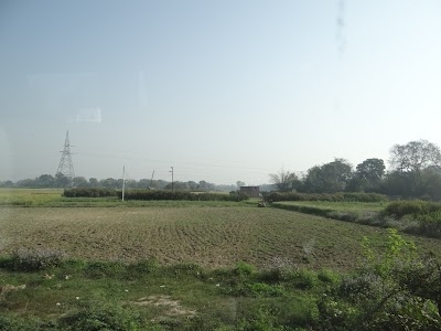 Dakhin Patti