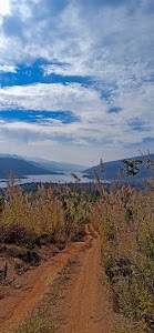SingRei