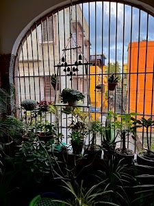 Satrangi Homestay Kolkata