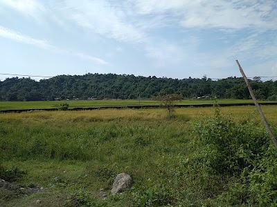 Banderdawa