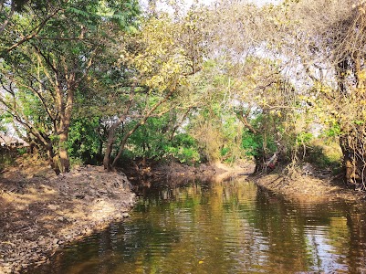 Kudave