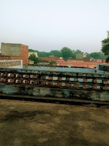 बेरी वाला बाग़