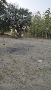Government Primary School