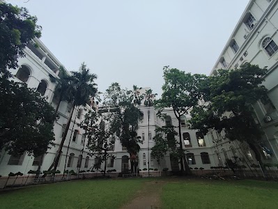 Science college playground