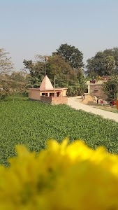 सर्व मनोकामना शिव मंदिर।