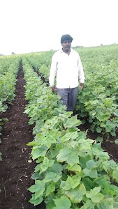 Gaikwad Farm