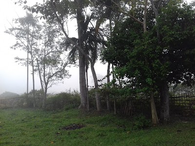 Baghmora Gaon