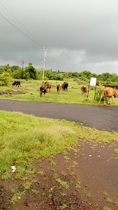 Mithgavane