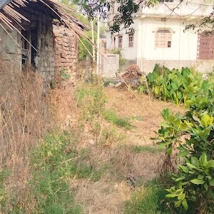 Satyendra Narayan Singh Home