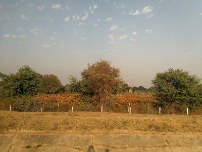 Pardhol