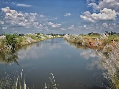 Dhabajal