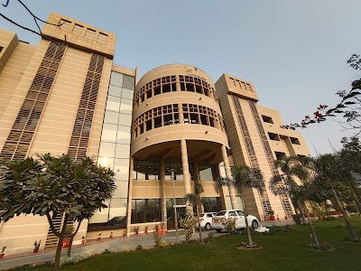 CSTPL, SIM Indigo
