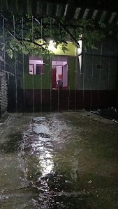 Popular Studio