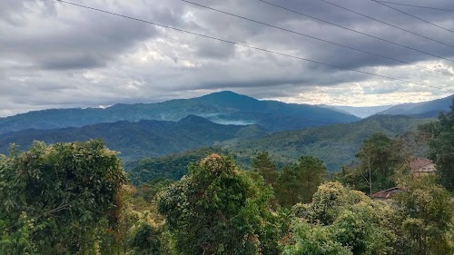 Nagaland University Lumami