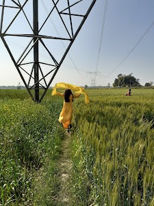 Bhura