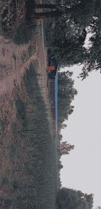 Kulveer gujjar poultry farm