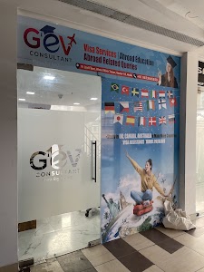 GEV Consultant