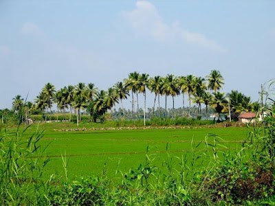 Rani Amravati