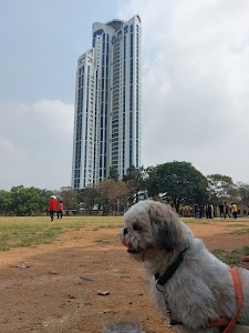 IIT Cricket Ground