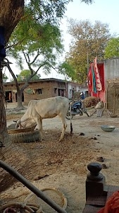 VIJAY RAJPOOT AND RADHESHYAM MOBILE SHOP