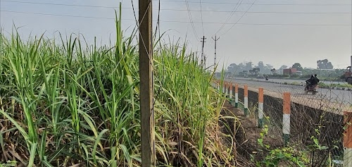 PATEL FARM