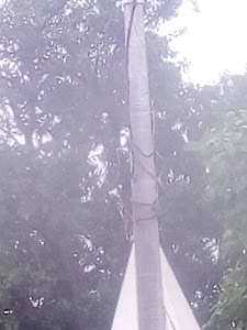 Patariya