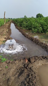 અરવિંદ બારૈયા