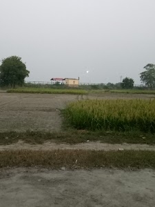 Terha Halt