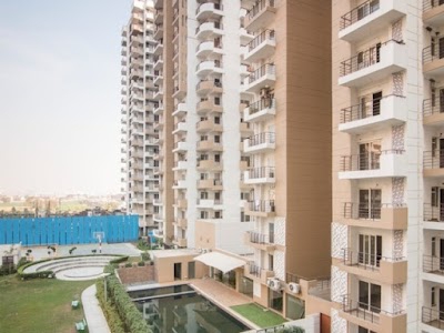 Zenith Sector 77 Noida