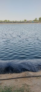 Royal Matani Fish farm