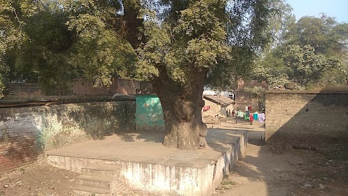 Shitla Mandir