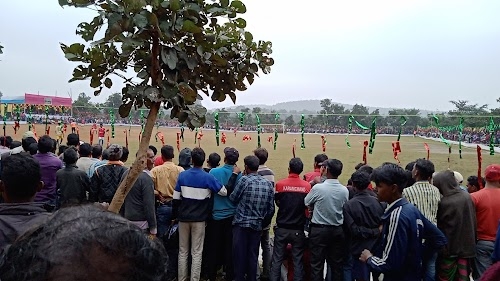 Football Ground Royadih