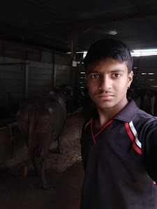 Himanshu Dairy Farm