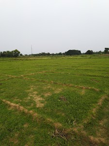Balaipur