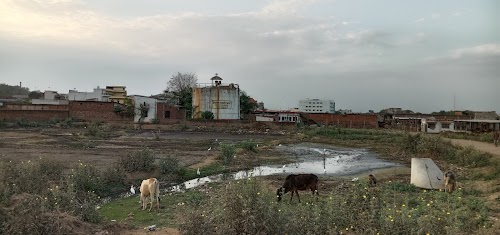 Bhalla Dairy Farm
