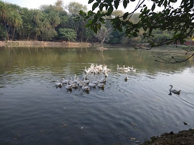 Bird Sanctuary