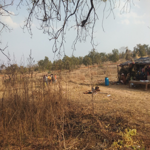 DAMRI BIGHA