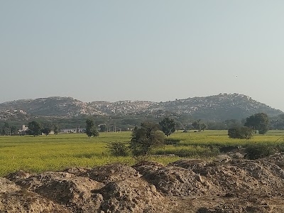 Beeyana