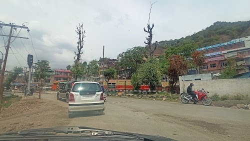Chambaghat
