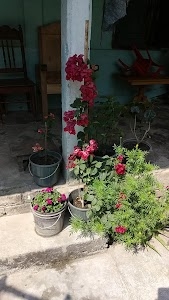 Monakosa No.2