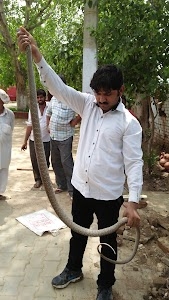 SURAKSHA TRUST SIRSA