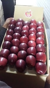 MDR apples Shyam's