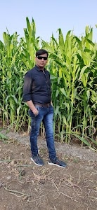 Girivihar panjrapor