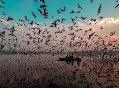 Yamuna Ghat