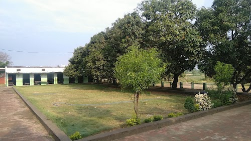 PARAMOUNT PUBLIC SCHOOL