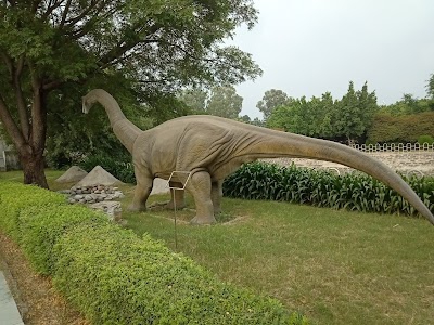 Dino Park