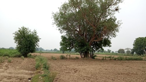 Aharai